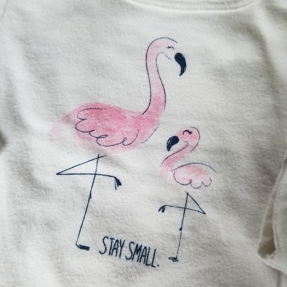 13 Pieces - All the 6M Carter's Onesies! - Picture 6 of 6